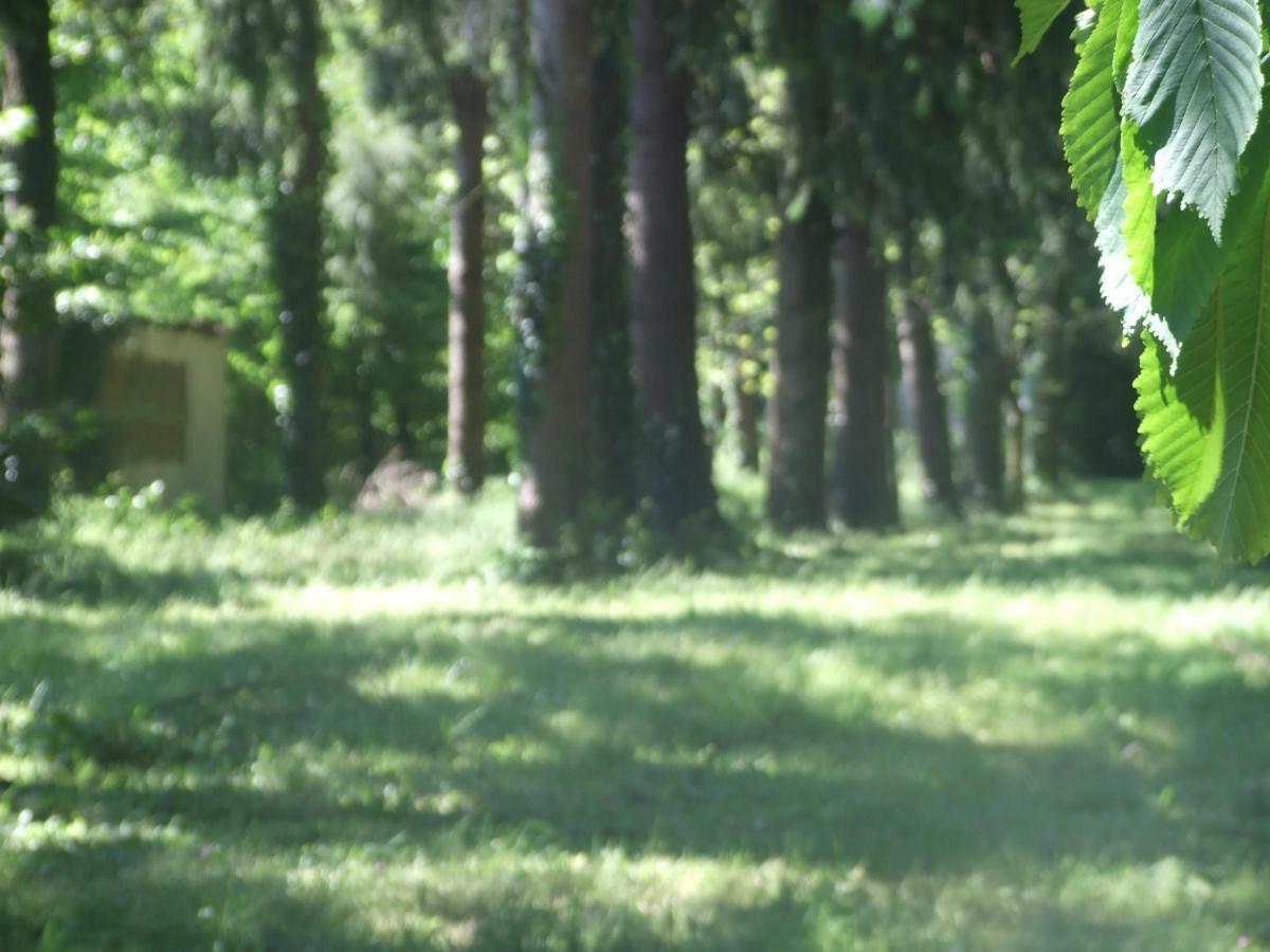 L'Auberge De La Foret Mervent Esterno foto